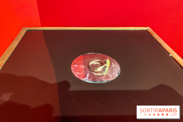 Exposition Magique ! au Musée de la Carte à jouer - IMG 2173