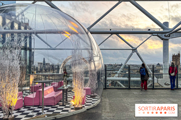 Bulle de rêves : la terrasse d'hiver du restaurant George au sommet du Centre Pompidou - IMG 5327 jpg