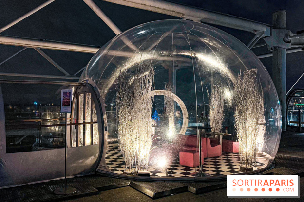 Bulle de rêves : la terrasse d'hiver du restaurant George au sommet du Centre Pompidou - IMG 5401 jpg