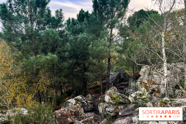 Les 25 bosses - photos - image00081