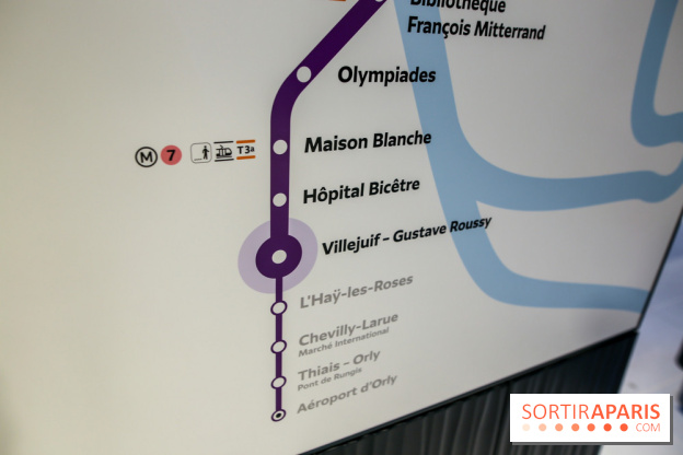 Gare Villejuif - Gustave Roussy, nos phoros - IMG 7195