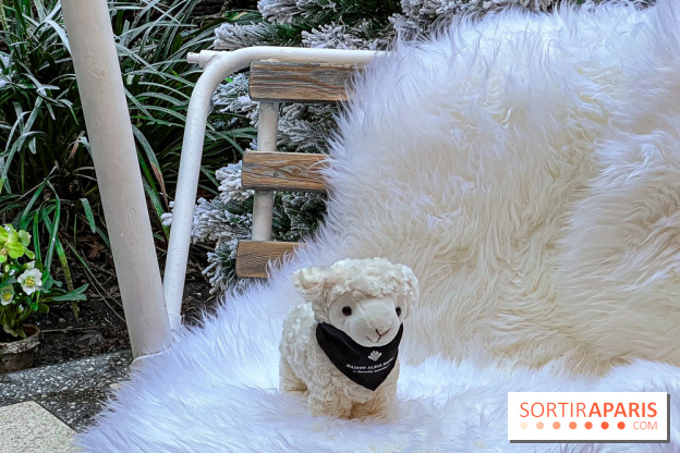 La terrasse d'hiver 2024 de l'hôtel 5* Maison Albar - Le Vendôme : un Tea Time à prix tout doux ! - IMG 5616 jpg