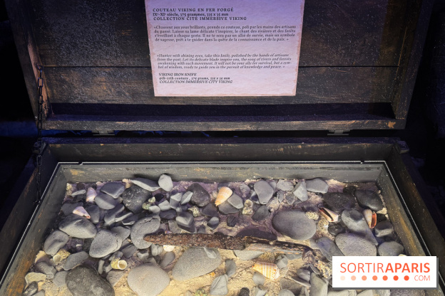 Cité Immersive Viking  - IMG 5251