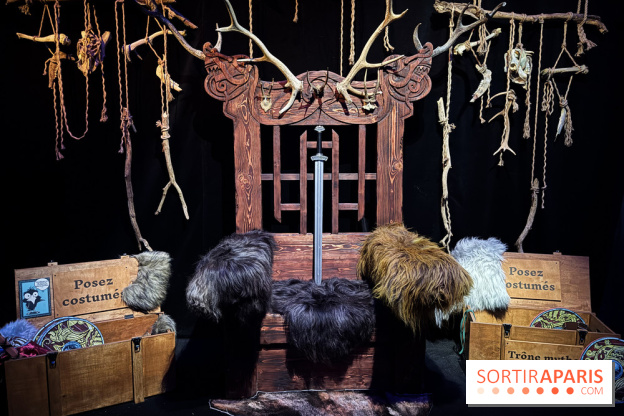 Cité Immersive Viking