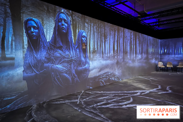 Cité Immersive Viking  - IMG 5319