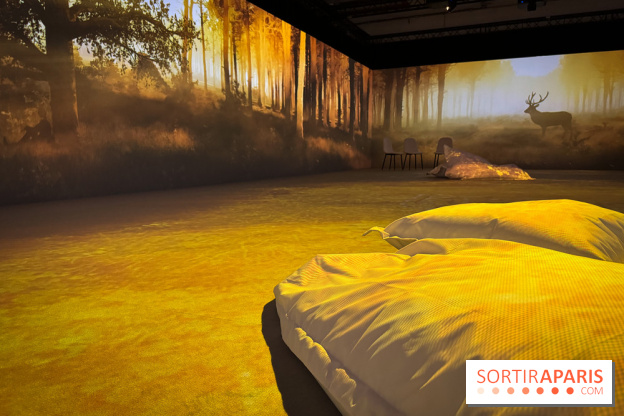 Cité Immersive Viking  - IMG 5335