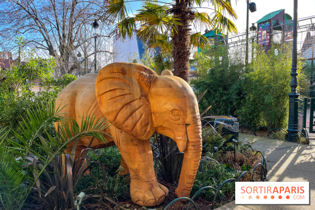 Square de la Jungle - nos photos