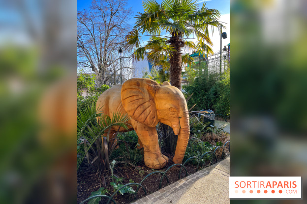 Square de la Jungle - nos photos