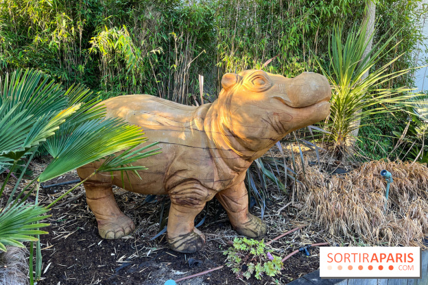 Square de la Jungle - nos photos - image00010