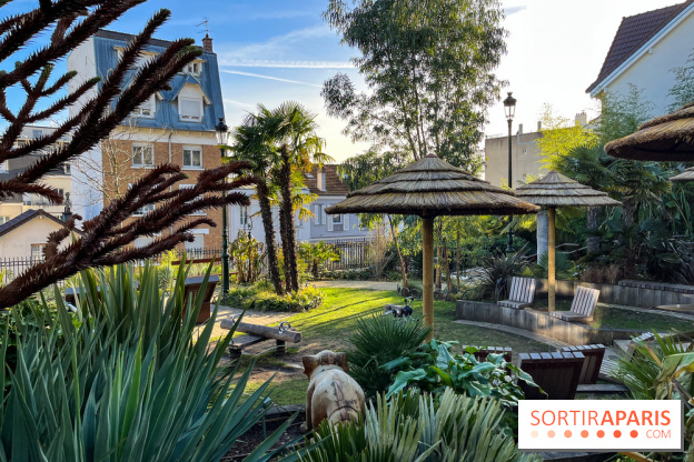 Square de la Jungle - nos photos - image00014