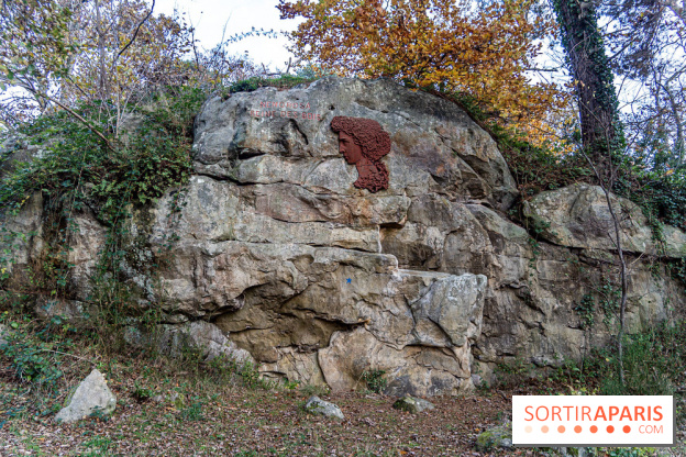 Randonnée à Fontainebleau : le sentier sur les pas de Denecourt jusqu’à la Tour Denecourt -  A7C7554
