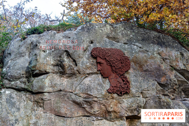 Randonnée à Fontainebleau : le sentier sur les pas de Denecourt jusqu’à la Tour Denecourt -  A7C7555