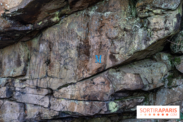 Randonnée à Fontainebleau : le sentier sur les pas de Denecourt jusqu’à la Tour Denecourt -  A7C7559