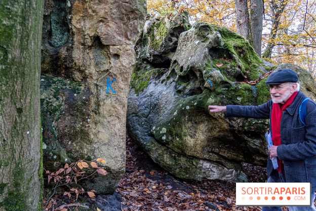 Randonnée à Fontainebleau : le sentier sur les pas de Denecourt jusqu’à la Tour Denecourt -  A7C7560