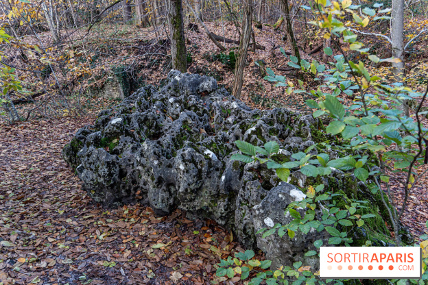 Randonnée à Fontainebleau : le sentier sur les pas de Denecourt jusqu’à la Tour Denecourt -  A7C7571