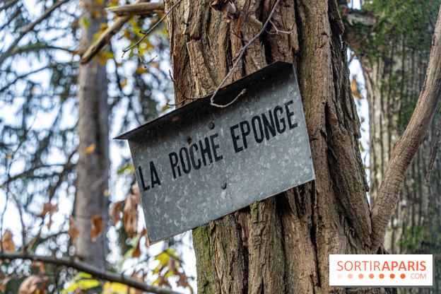 Randonnée à Fontainebleau : le sentier sur les pas de Denecourt jusqu’à la Tour Denecourt -  A7C7572