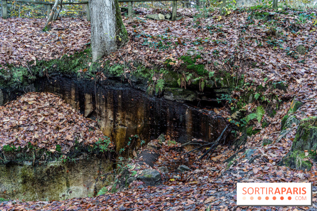 Randonnée à Fontainebleau : le sentier sur les pas de Denecourt jusqu’à la Tour Denecourt -  A7C7576