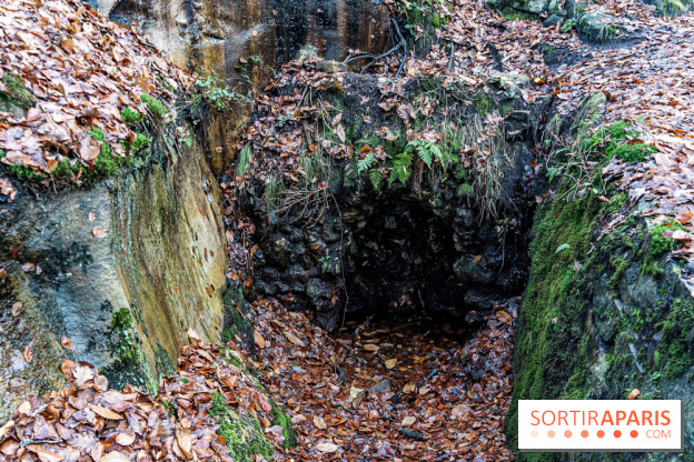 Randonnée à Fontainebleau : le sentier sur les pas de Denecourt jusqu’à la Tour Denecourt -  A7C7577