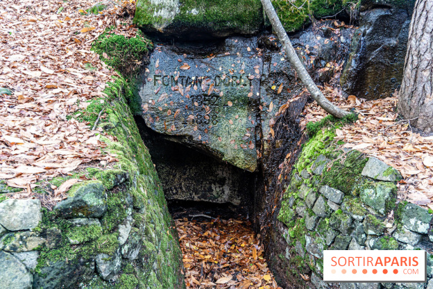 Randonnée à Fontainebleau : le sentier sur les pas de Denecourt jusqu’à la Tour Denecourt -  A7C7580