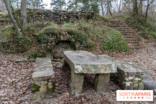 Randonnée à Fontainebleau : le sentier sur les pas de Denecourt jusqu’à la Tour Denecourt -  A7C7583