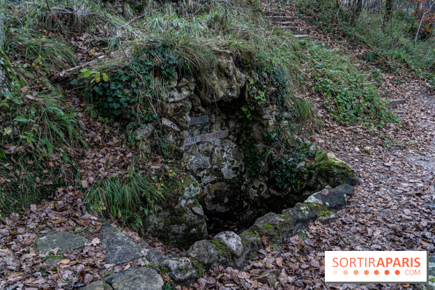 Randonnée à Fontainebleau : le sentier sur les pas de Denecourt jusqu’à la Tour Denecourt -  A7C7584