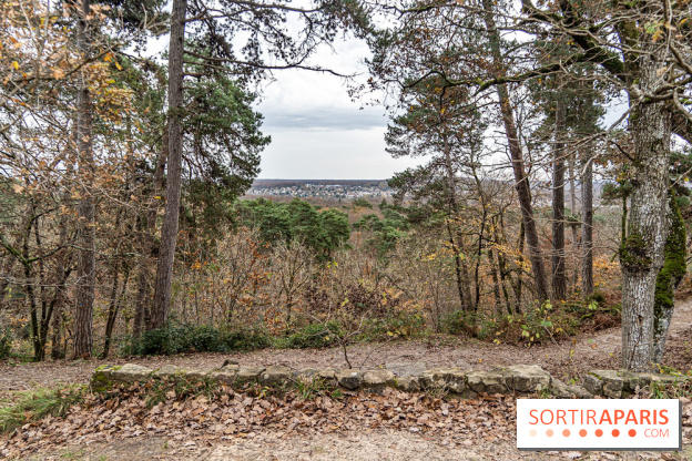 Randonnée à Fontainebleau : le sentier sur les pas de Denecourt jusqu’à la Tour Denecourt -  A7C7586