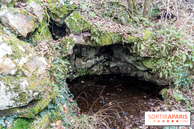 Randonnée à Fontainebleau : le sentier sur les pas de Denecourt jusqu’à la Tour Denecourt -  A7C7587