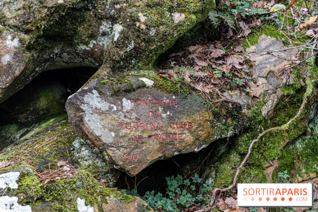 Randonnée à Fontainebleau : le sentier sur les pas de Denecourt jusqu’à la Tour Denecourt -  A7C7590