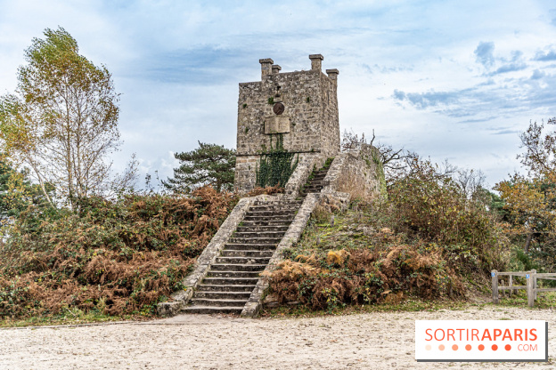 Randonnée à Fontainebleau : le sentier sur les pas de Denecourt jusqu’à la Tour Denecourt -  A7C7600