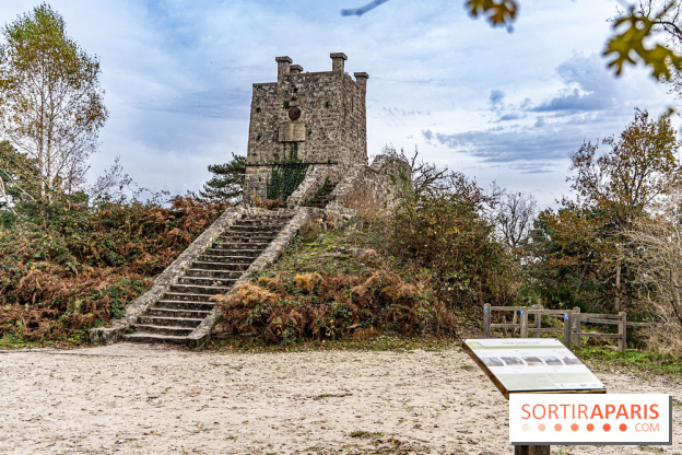 Randonnée à Fontainebleau : le sentier sur les pas de Denecourt jusqu’à la Tour Denecourt -  A7C7603