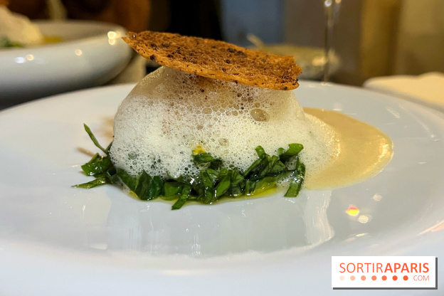 Campelli - Saint-Jacques à l'oseille