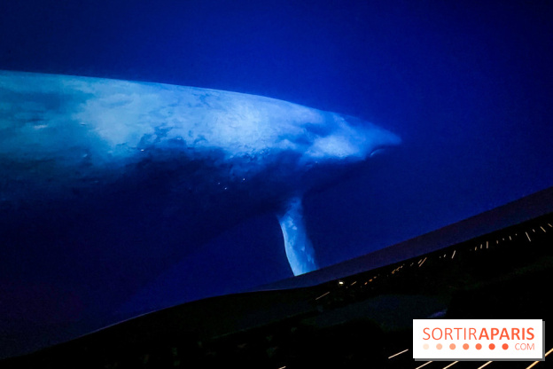 La Géode 2025 - IMG 8535 jpg