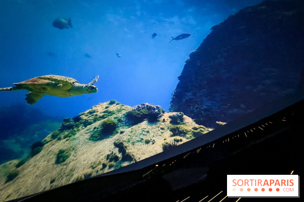 La Géode 2025 - IMG 8543 jpg