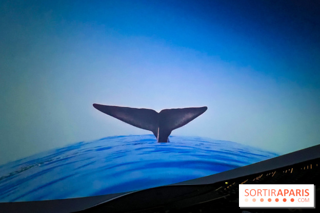 La Géode 2025 - IMG 8581 jpg