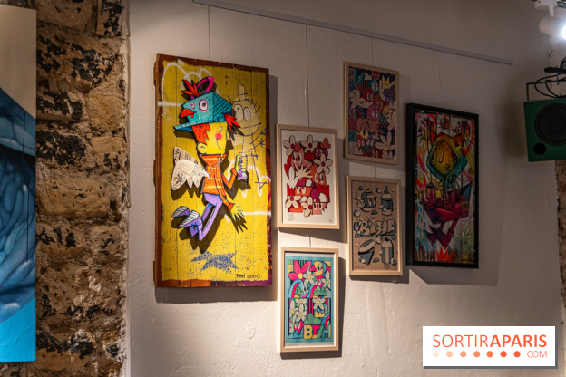 Exposition street-art Colors festival x Tracks 119  -  A7C0567