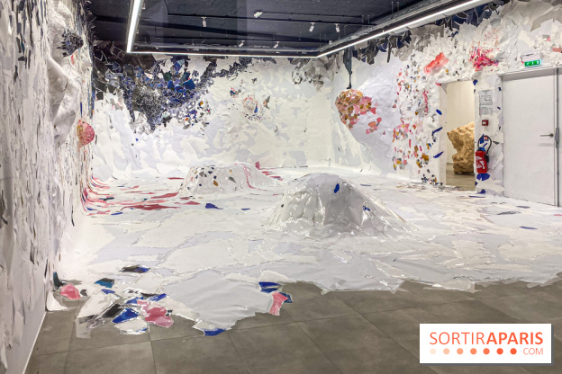 Exposition Belladone de Tatiana Wolska au Drawing Lab - IMG 2348