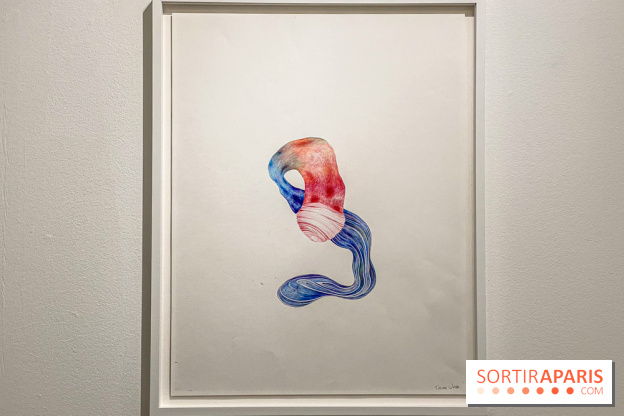 Exposition Belladone de Tatiana Wolska au Drawing Lab - IMG 2362