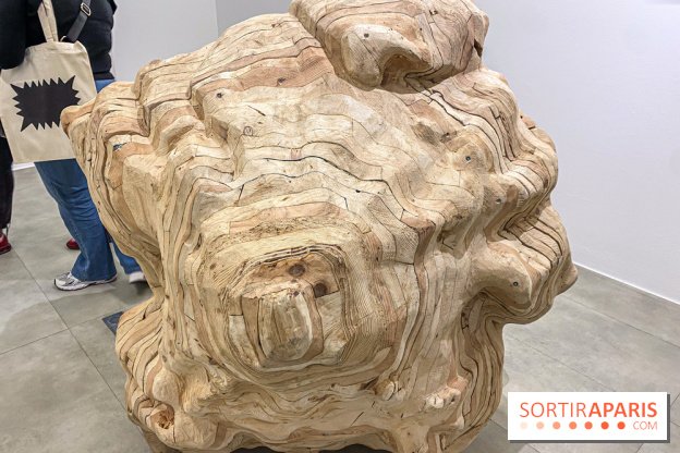 Exposition Belladone de Tatiana Wolska au Drawing Lab - IMG 2364