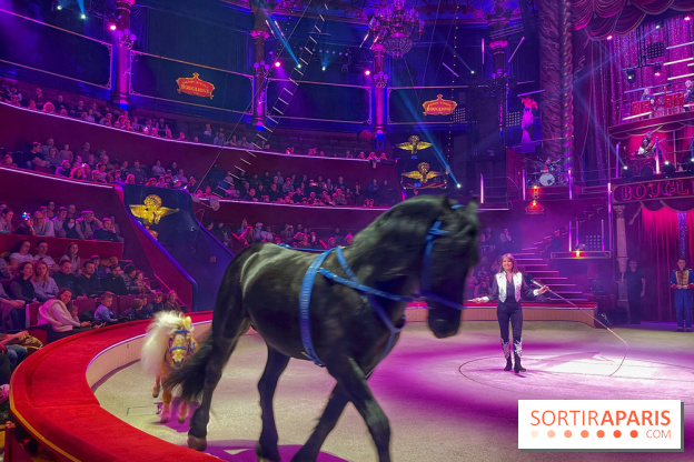 Spectaculaire - Cirque d'hiver - IMG 8494