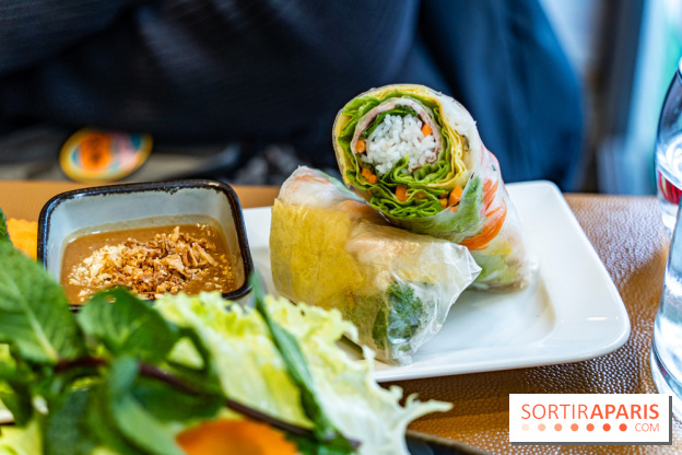 Chez An - Au coin du Vietnam, restaurant vietnamien du 14e à Paris -  rouleau de printemps