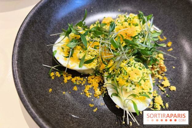 Argile - Oeufs mimosa, poutargue