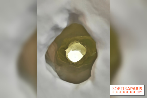 Chaosmos : une expo gratuite qui interroge notre place dans l'univers au Maif Social Club - photos - fotor 1738750083255