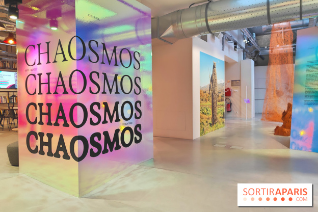 Chaosmos : une expo gratuite qui interroge notre place dans l'univers au Maif Social Club - photos - fotor 1738750058916