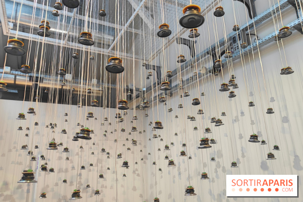 Chaosmos : une expo gratuite qui interroge notre place dans l'univers au Maif Social Club - photos - fotor 1738750023004