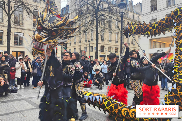Défilé du Nouvel An Lunaire-Chinois Faubourg Saint-Honoré  - fotor 1738762270959