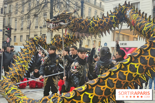 Défilé du Nouvel An Lunaire-Chinois Faubourg Saint-Honoré  - fotor 1738762237324