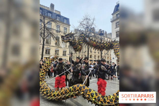 Défilé du Nouvel An Lunaire-Chinois Faubourg Saint-Honoré  - IMG20250205131127