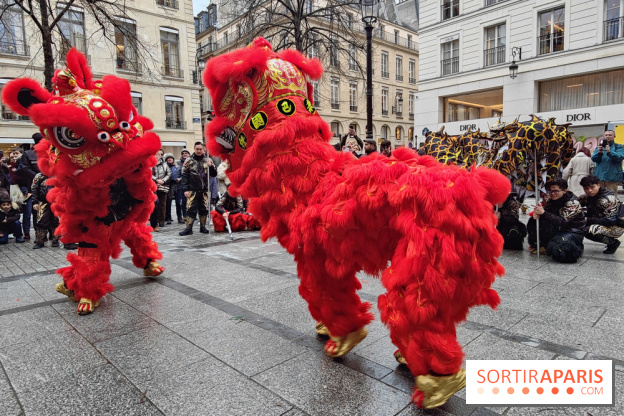 Défilé du Nouvel An Lunaire-Chinois Faubourg Saint-Honoré  - IMG20250205130635