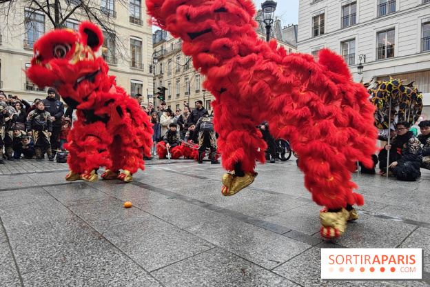 Défilé du Nouvel An Lunaire-Chinois Faubourg Saint-Honoré  - IMG20250205130539