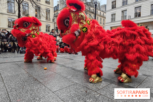 Défilé du Nouvel An Lunaire-Chinois Faubourg Saint-Honoré  - IMG20250205130537